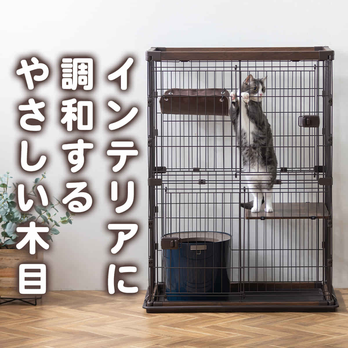 �E�b�f�B�L���b�g�P�[�W