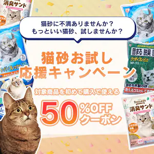 �L���������L�����y�[��
