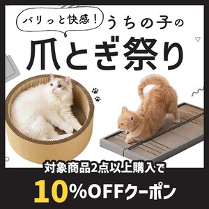 �܂Ƃ��܂Ƃߔ����N�[�|���z�z��