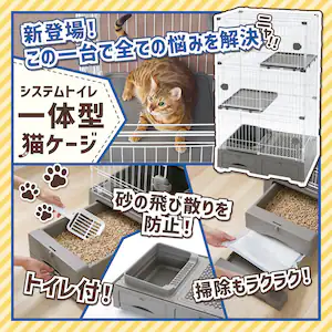 �L���̑|�������N���N