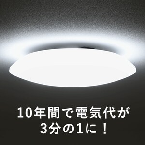 �V�[�����O���C�g