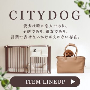 �������ꂽ�f�U�C�� �~ �����@�\��