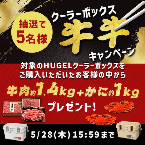 �y���ቷ�ۗ�ܕt���zHUGEL �^��f�M�N�[���[�{�b�N�X 20L VITC-20R �`���R�[���O���[ ���ቷ�ۗ�ܕt��_1