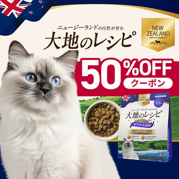 ��n�̃��V�s 50%OFF�N�[�|��