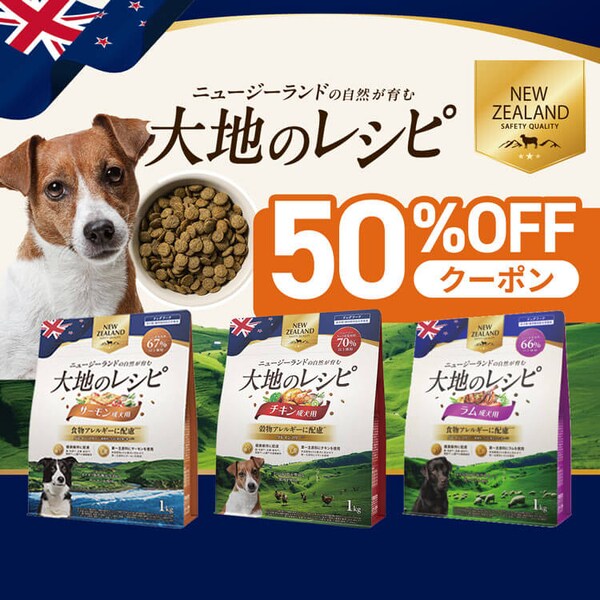 ��n�̃��V�s 50%OFF�N�[�|��