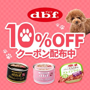 �f�r�t10%OFF�N�[�|��