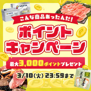 �|�C���g�L�����y�[���@�}�[�P�b�g�v���C�X