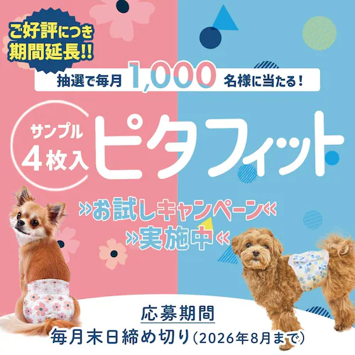 �T���v��4������s�^�t�B�b�g �������L�����y�[��