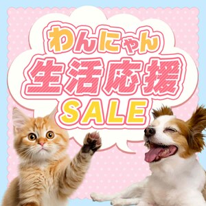 �y�b�g��������