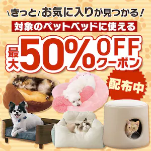 �y�b�g�x�b�g50%OFF