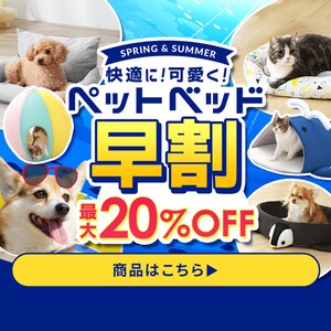 �y�b�g�x�b�h����