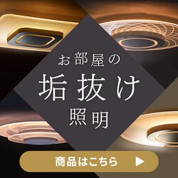 �V�[�����O���C�g