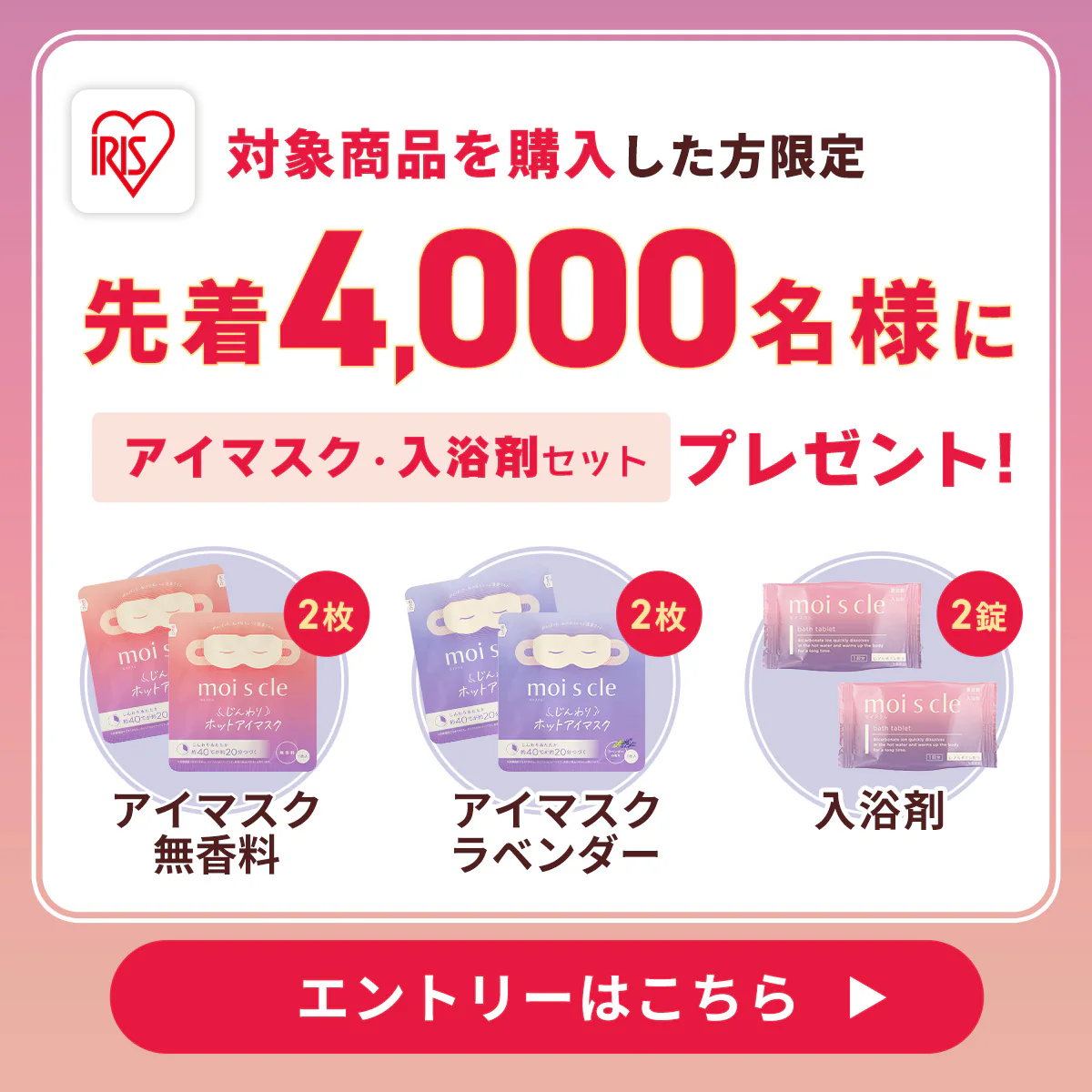 �A�C�}�X�N�T���v���v���[���g�L�����y�[��