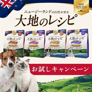 ��n�̃��V�s�������L�����y�[��