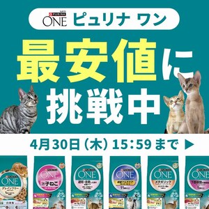 �s�����i�����ň��l