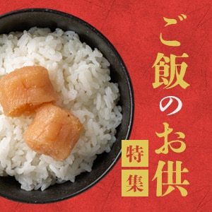 ���͂�̂���