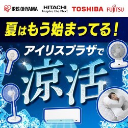 �A�C���X�v���U�ŗ���