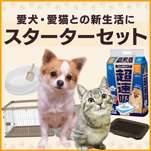 �y�b�g �X�^�[�^�[�Z�b�g
