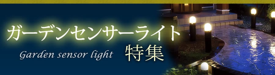 �K�[�f�����C�g���W