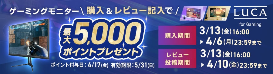 �Q�[�~���O���j�^�[ �w��&���r���[�L���ōő�5000�|�C���g�v���[���g