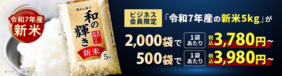 �a�̋P�� �V�� �Z�b�g�̔�