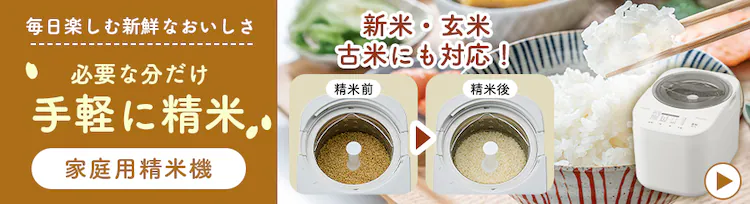 Kvȕyɐĉƒpċ@VāE ÕĂɂΉI