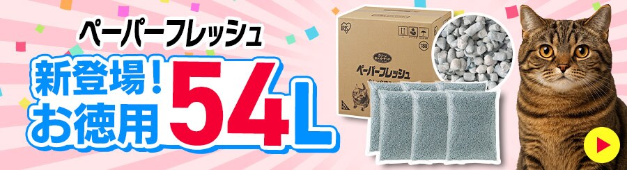 ��e�ʔL���y�[�p�[�t���b�V��