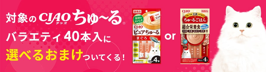 �Ώۂ̃`���I����[��o���G�e�B40�{�ɑI�ׂ邨�܂������Ă���I