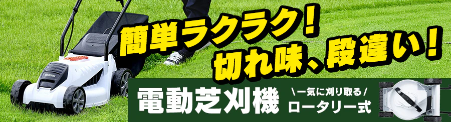 ȒPNNI؂ꖡAiႢIdŊ@