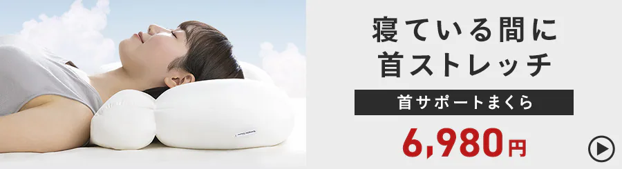 QĂԂɎXgb`T|[g܂6,980~