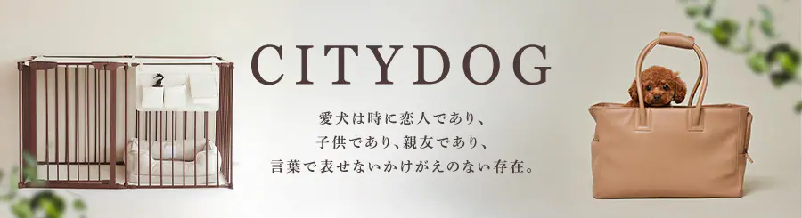 CITYDOG��舵���n�߂܂����I