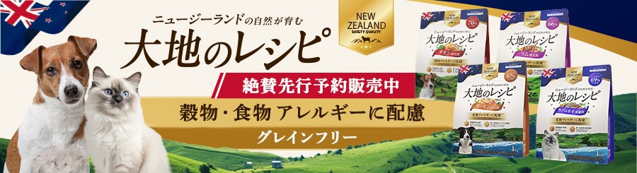 ��n�̃��V�s��s����