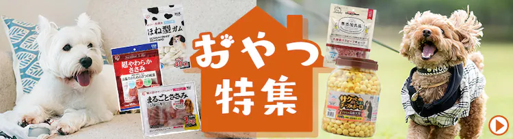 ペットおやつ特集