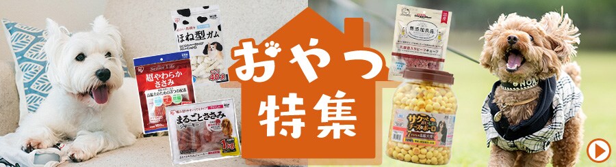 �y�b�g������W