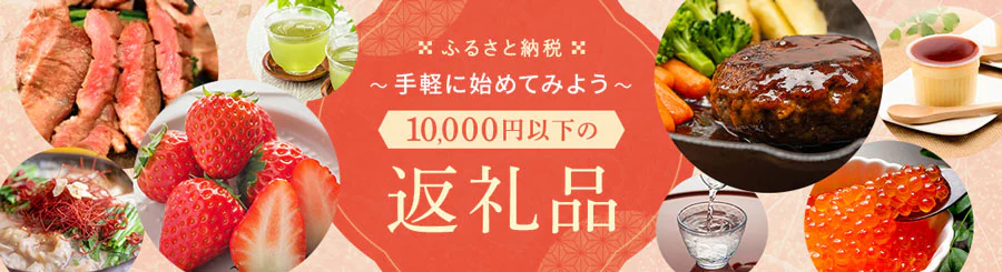 10,000���~�ȉ��̕ԗ�i