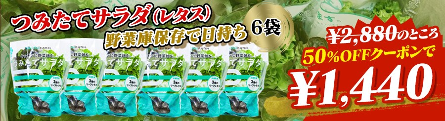 �݂��ăT���_