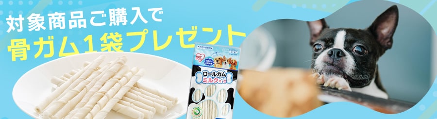 ���K�����܂��t��