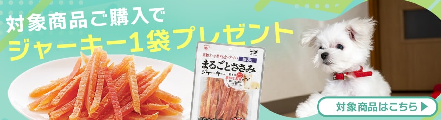 �W���[�L�[���܂��t��