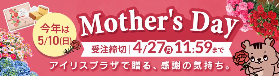 ��̓����W2026