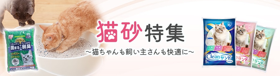 �L�����W