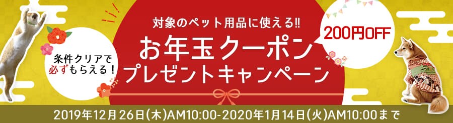 �N���X�}�X�t�H�g�R���e�X�g2019