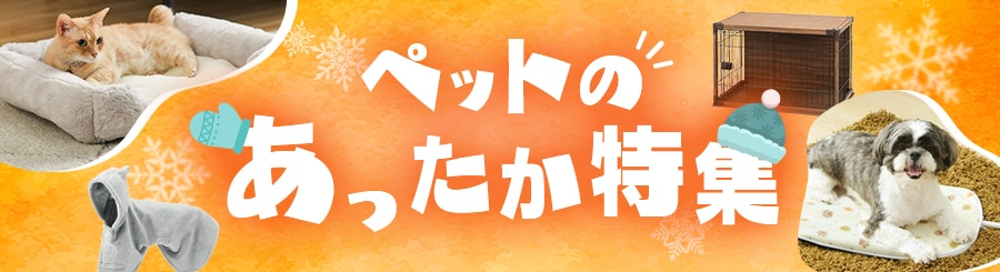 �y�b�g �����������W