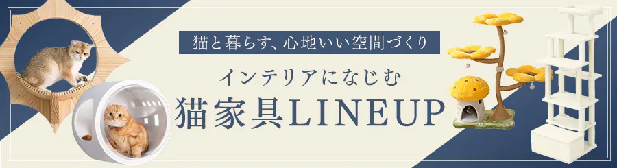 �L�Ƌ�LINEUP