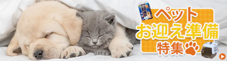 ペットお迎え特集