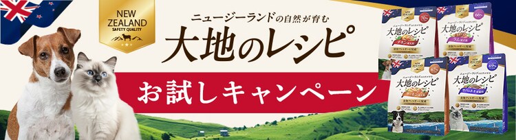 ��n�̃��V�s�������L�����y�[��