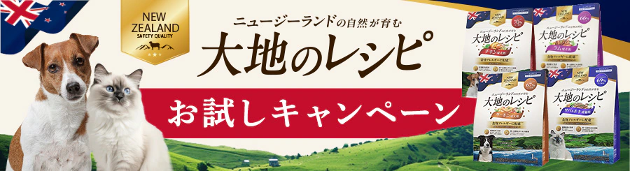 ��n�̃��V�s