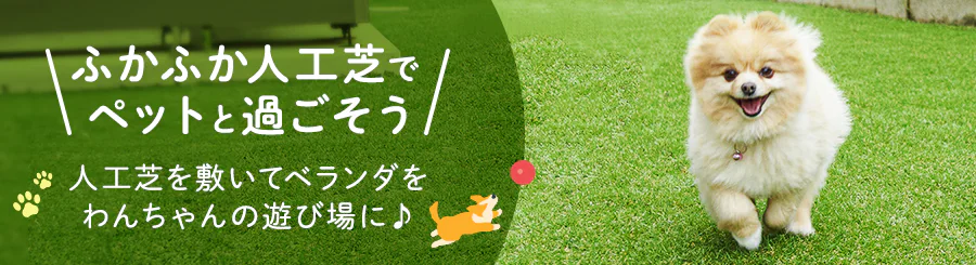 �y�b�g�l�H��