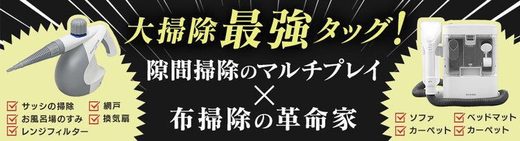 【2点セット】リンサークリーナー RNS-300+スチームクリーナー STM-3030
