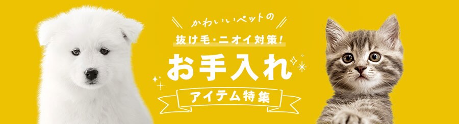 �������A�C�e�����W