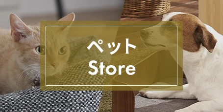 �y�b�g�X�g�A